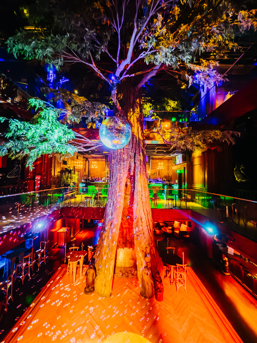 The whole main room at Clifton's, lit up around the giant tree